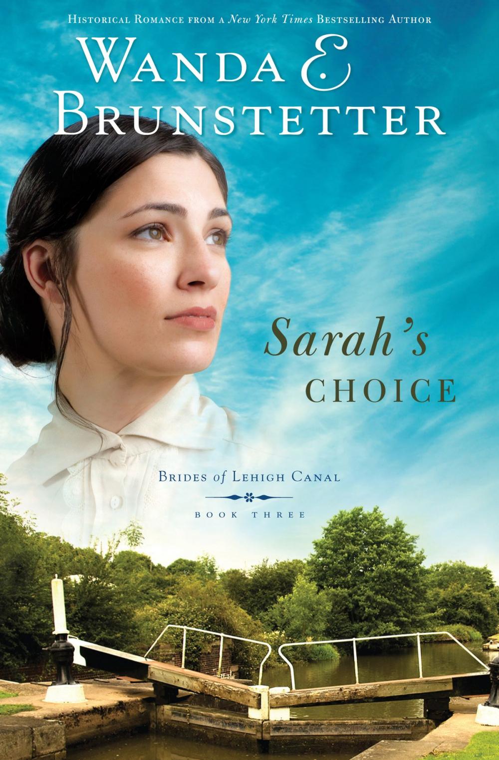 Big bigCover of Sarah's Choice