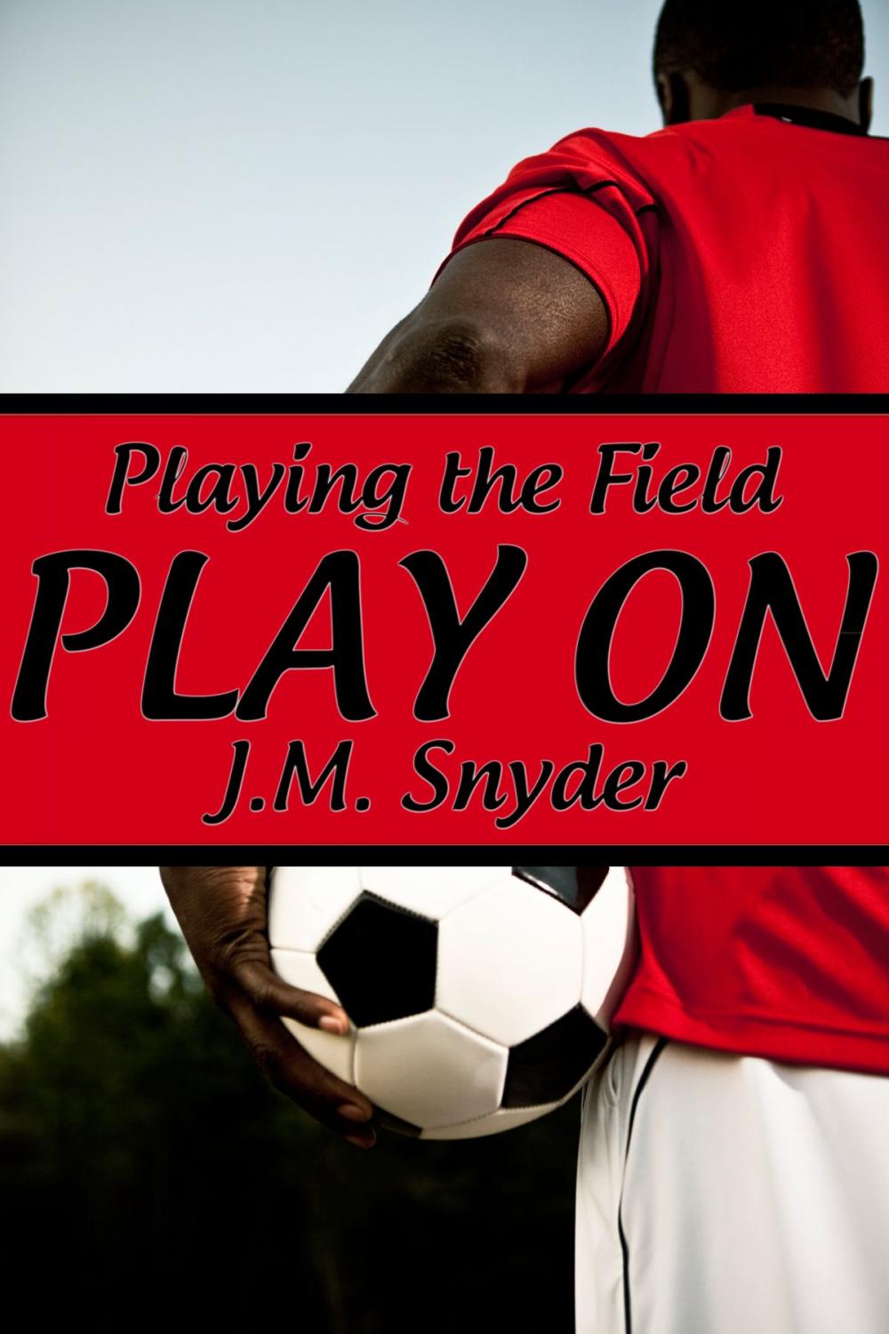 Big bigCover of Playing the Field: Play On