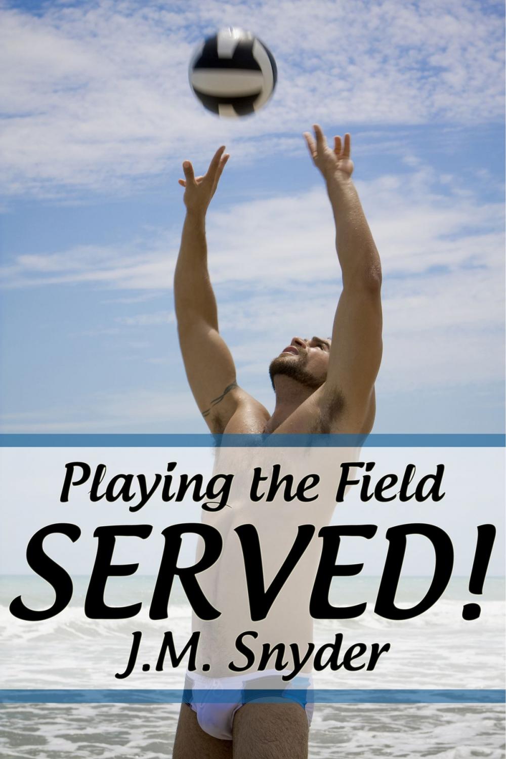 Big bigCover of Playing the Field: Served!