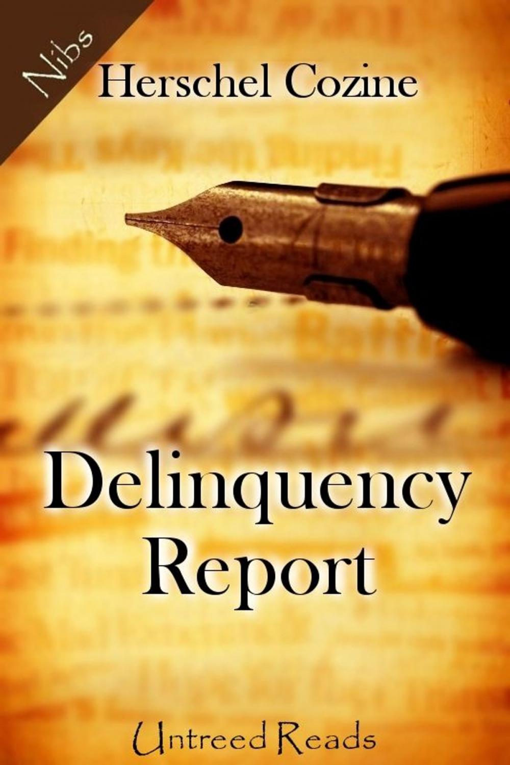 Big bigCover of Delinquency Report