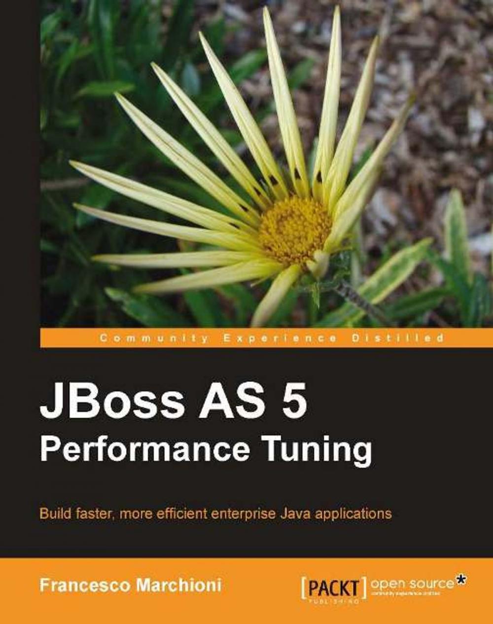 Big bigCover of JBoss AS 5 Performance Tuning
