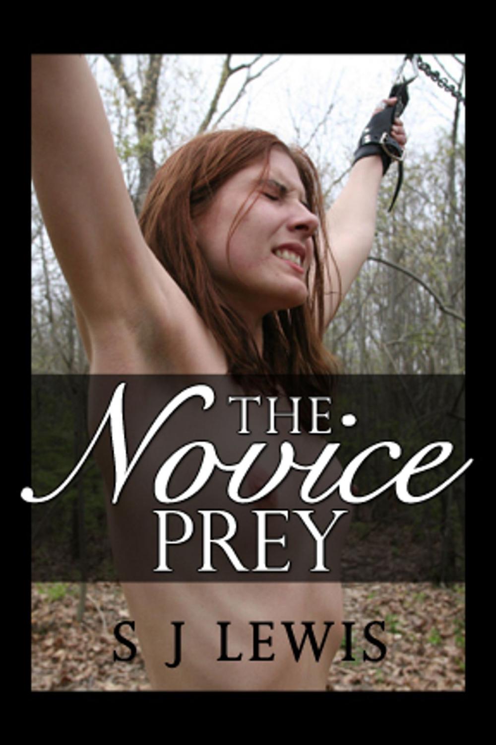 Big bigCover of The Novice Prey