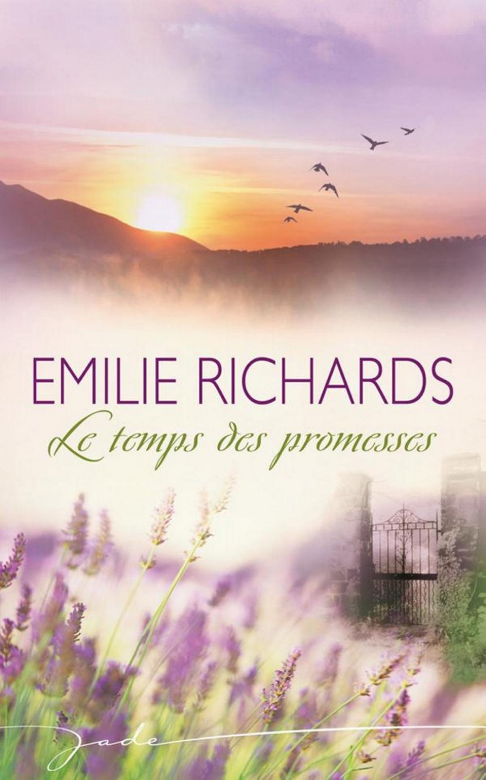 Big bigCover of Le temps des promesses