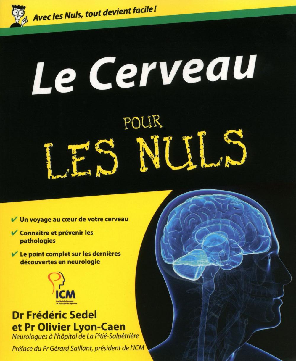 Big bigCover of Le Cerveau Pour les Nuls