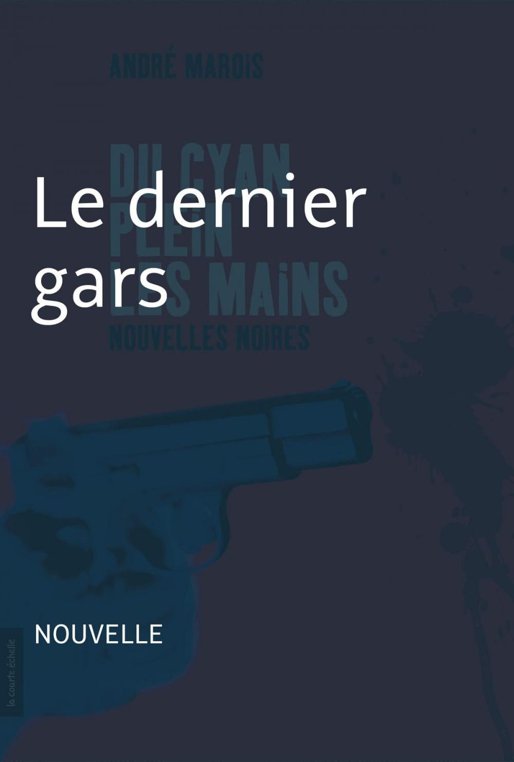 Big bigCover of Le dernier gars