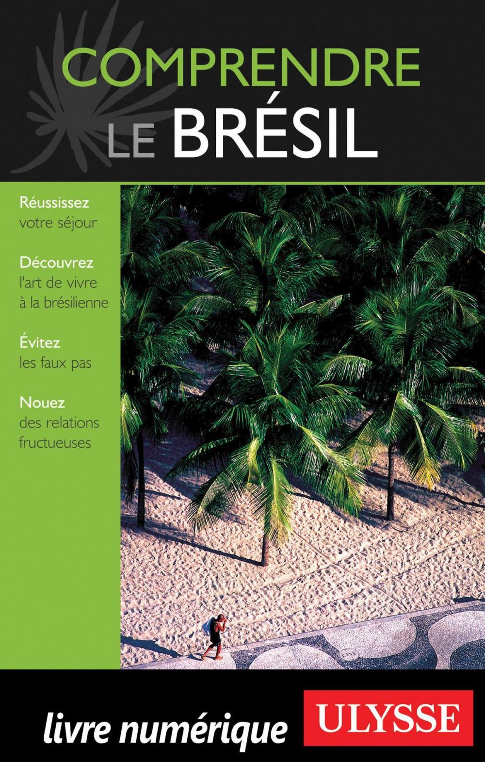 Big bigCover of Comprendre le Brésil