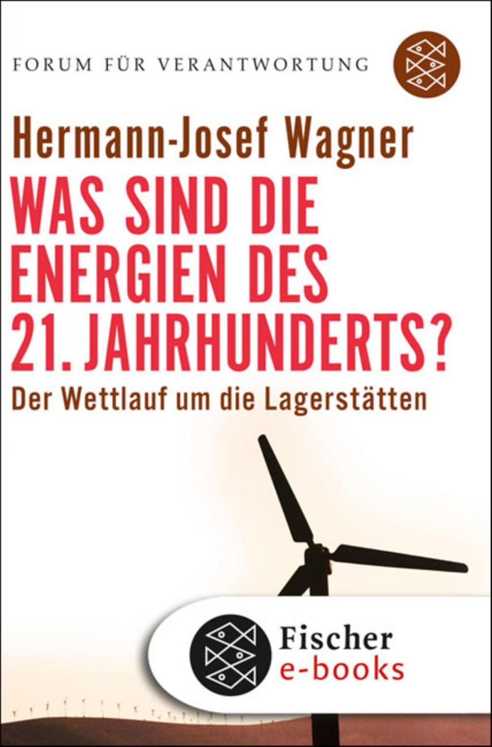 Big bigCover of Was sind die Energien des 21. Jahrhunderts?