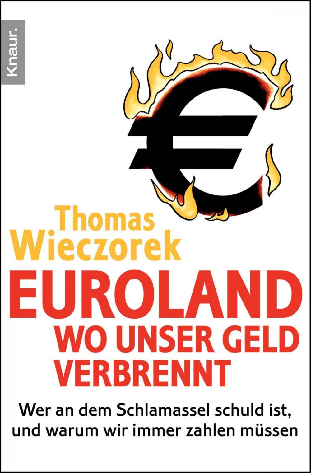 Big bigCover of Euroland: Wo unser Geld verbrennt