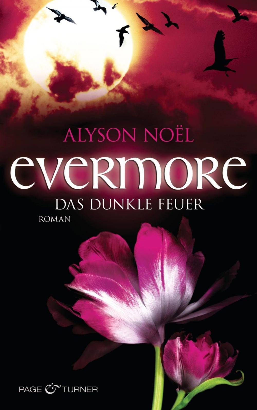 Big bigCover of Evermore 4 - Das dunkle Feuer