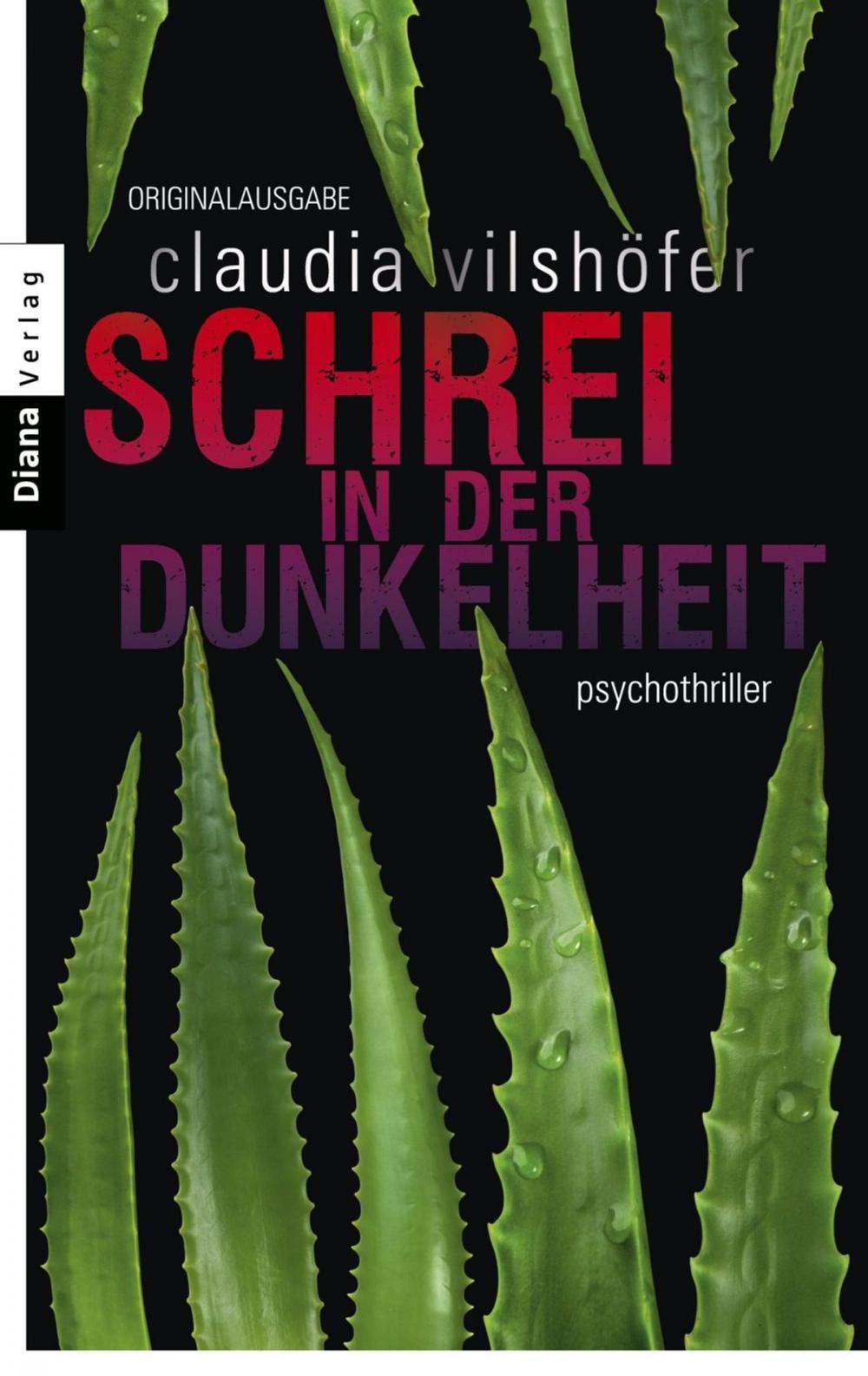 Big bigCover of Schrei in der Dunkelheit