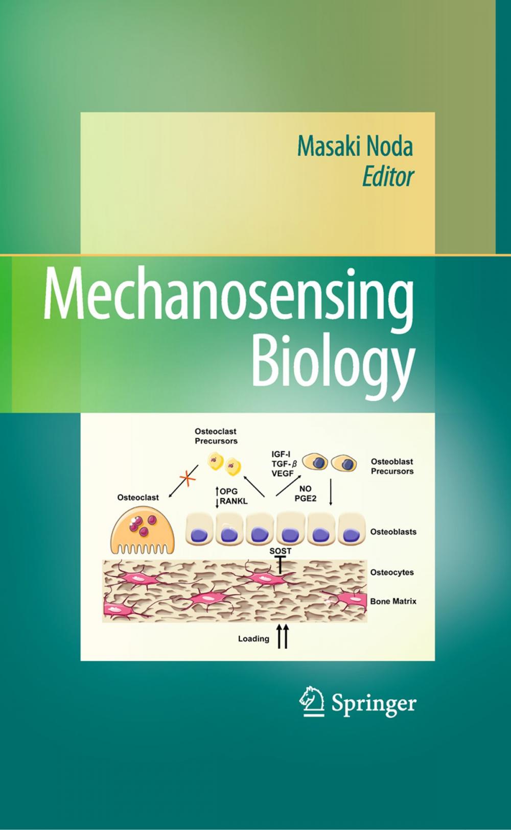 Big bigCover of Mechanosensing Biology