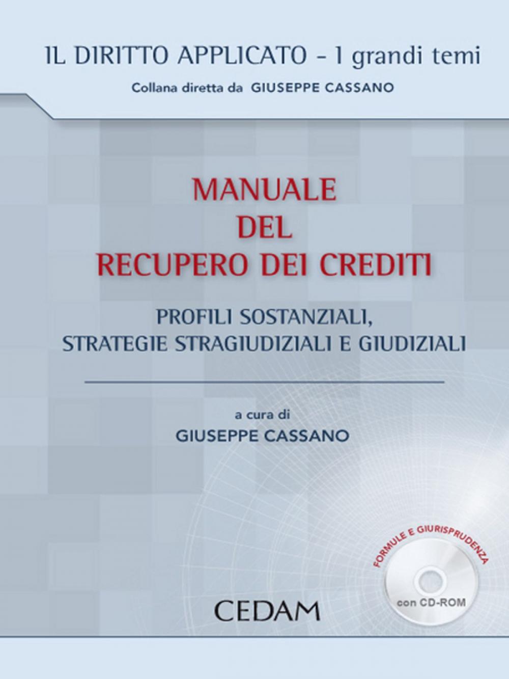 Big bigCover of Manuale del recupero dei crediti