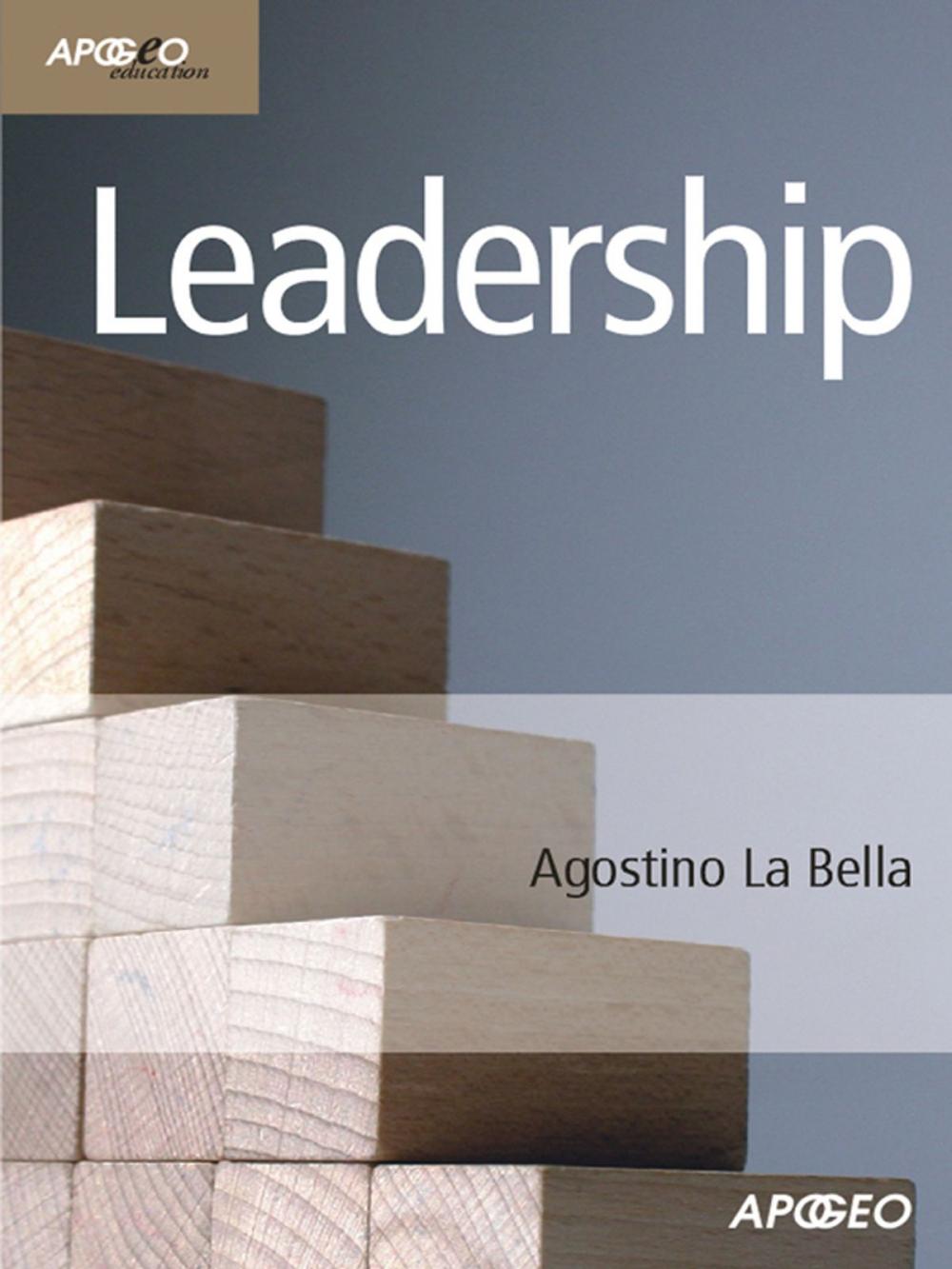 Big bigCover of Leadership