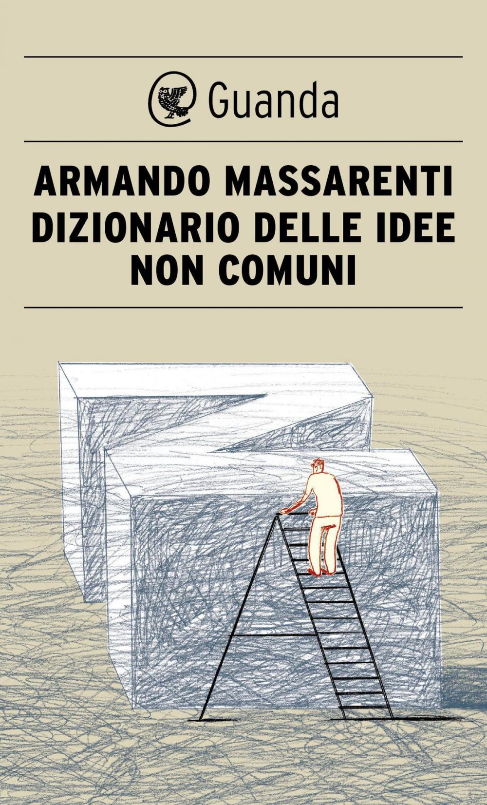 Big bigCover of Dizionario delle idee non comuni