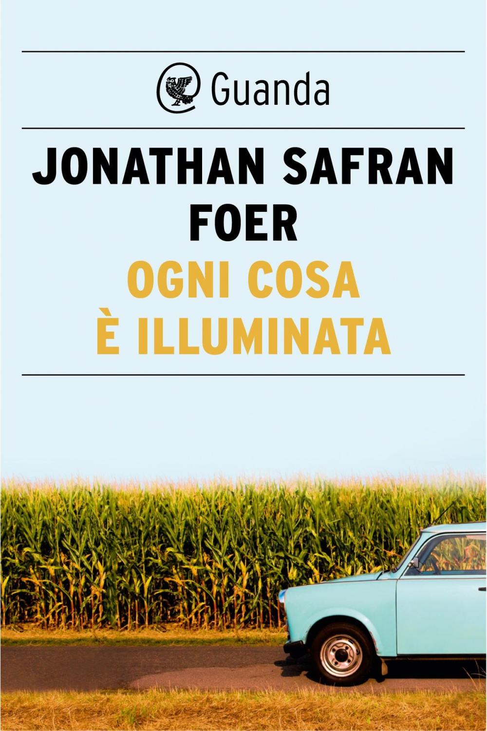 Big bigCover of Ogni cosa è illuminata