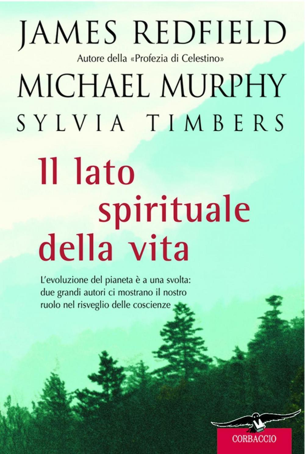 Big bigCover of Il lato spirituale della vita