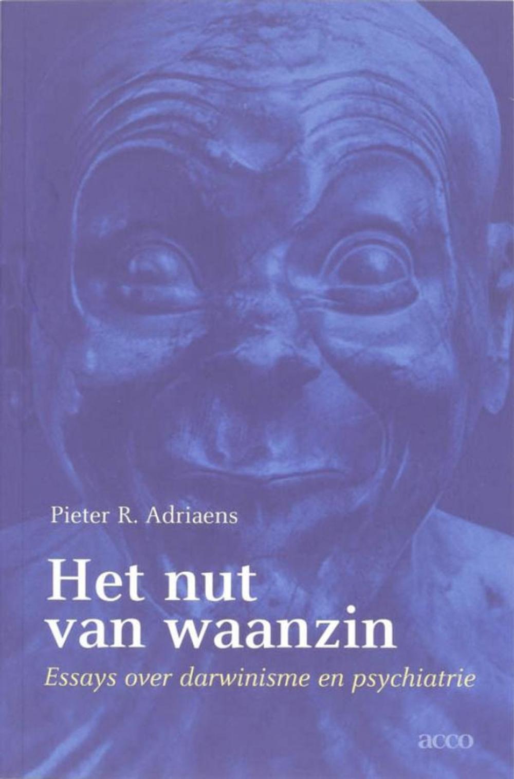 Big bigCover of Het nut van waanzin