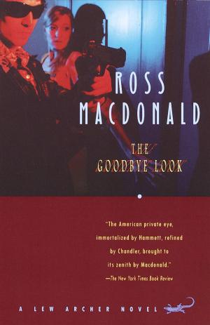 Cover of the book The Goodbye Look by John Berger