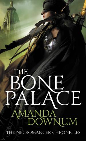 Cover of the book The Bone Palace by David Skovron