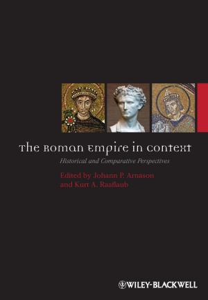 Cover of the book The Roman Empire in Context by Pieter Schavemaker, Lou van der Sluis