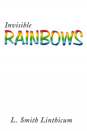 Cover of the book Invisible Rainbows by S. Bryan Gonzales