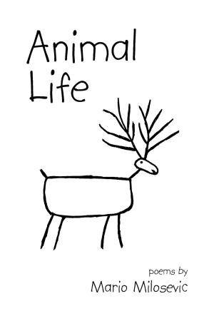 bigCover of the book Animal Life: Poems by 