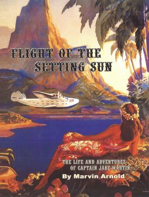 Cover of the book Flight Of The Setting Sun by Alex R. Encomienda