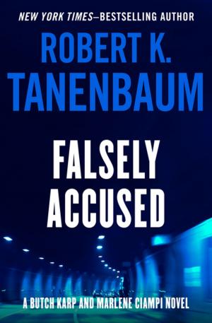 Cover of the book Falsely Accused by Andrew Klavan