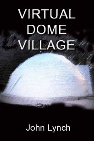 Book cover of Virtual Dome Village