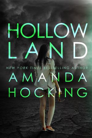 Cover of the book Hollowland (The Hollows #1) by K.R. Smith
