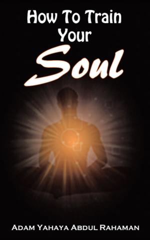 bigCover of the book How to Train Your Soul by 