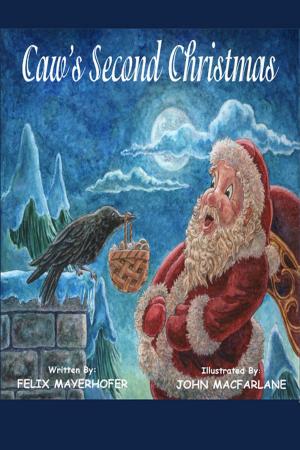 Cover of the book Caws's Second Christmas by Parke Sellard