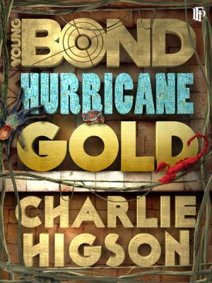 Cover of the book Hurricane Gold by Carrie Wexford