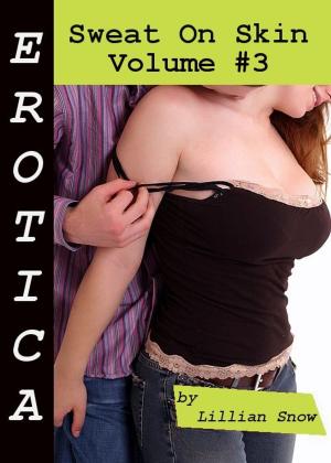 Cover of the book Erotica: Sweat On Skin, Volume #3 by Brandi Bonx