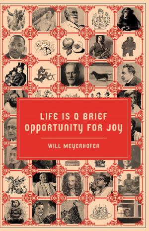 Cover of the book Life is a Brief Opportunity for Joy by 同道大叔