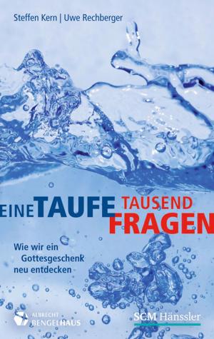 Cover of the book Eine Taufe, tausend Fragen by Hans-Joachim Eckstein