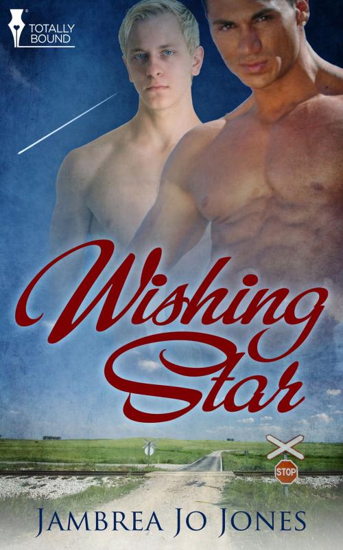 Cover of the book Wishing Star by Jambrea Jo Jones, Totally Entwined Group Ltd