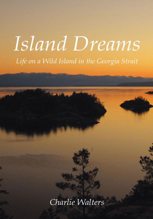 Cover of the book Island Dreams by Charlie Walters, iUniverse