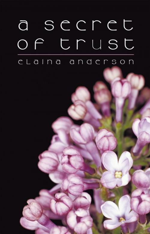 Cover of the book A Secret of Trust by Elaina Anderson, iUniverse