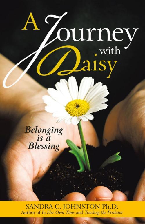 Cover of the book A Journey with Daisy by Sandra C. Johnston, iUniverse