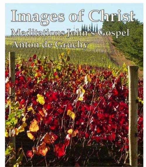 Cover of the book Images of Christ by Anton de Gruchy, Anton de Gruchy