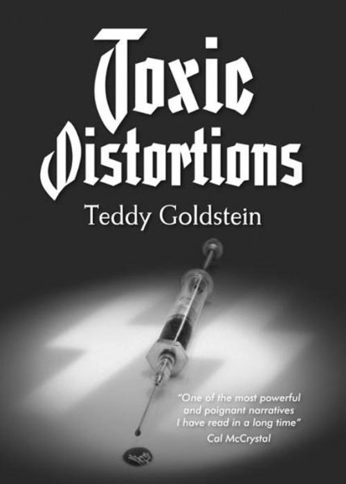 Cover of the book Toxic Distortions by Teddy Goldstein, Teddy Goldstein