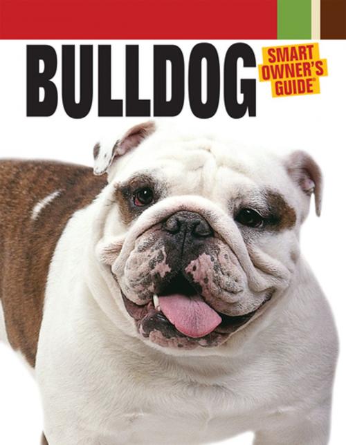 Cover of the book Bulldog by Dog Fancy Magazine, CompanionHouse Books