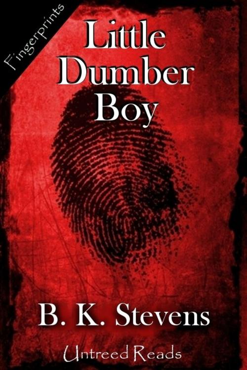 Cover of the book Little Dumber Boy by B.K. Stevens, Untreed Reads