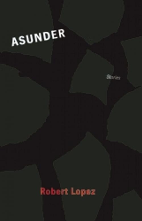 Cover of the book Asunder by Robert Lopez, Dzanc Books