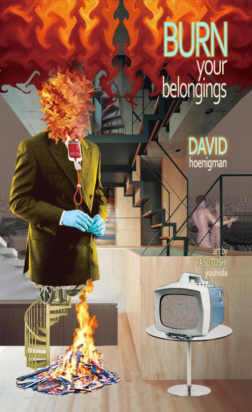 Cover of the book Burn Your Belongings by David Hoenigman, Jaded Ibis Press