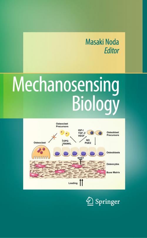 Cover of the book Mechanosensing Biology by , Springer Japan