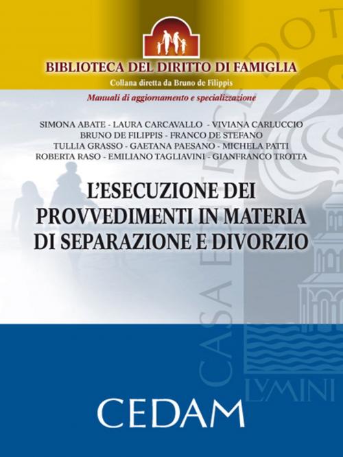 Cover of the book L’esecuzione dei provvedimenti in materia di separazione e divorzio by Abate Simona, De Filippis Bruno, Carcavallo Laura, Carluccio Viviana, De Stefano Franco, Grasso Tullia, Paesano Gaetana, Patti Michela, Raso Roberta, Tagliavini Emiliano & Trotta Gianfraco, Cedam