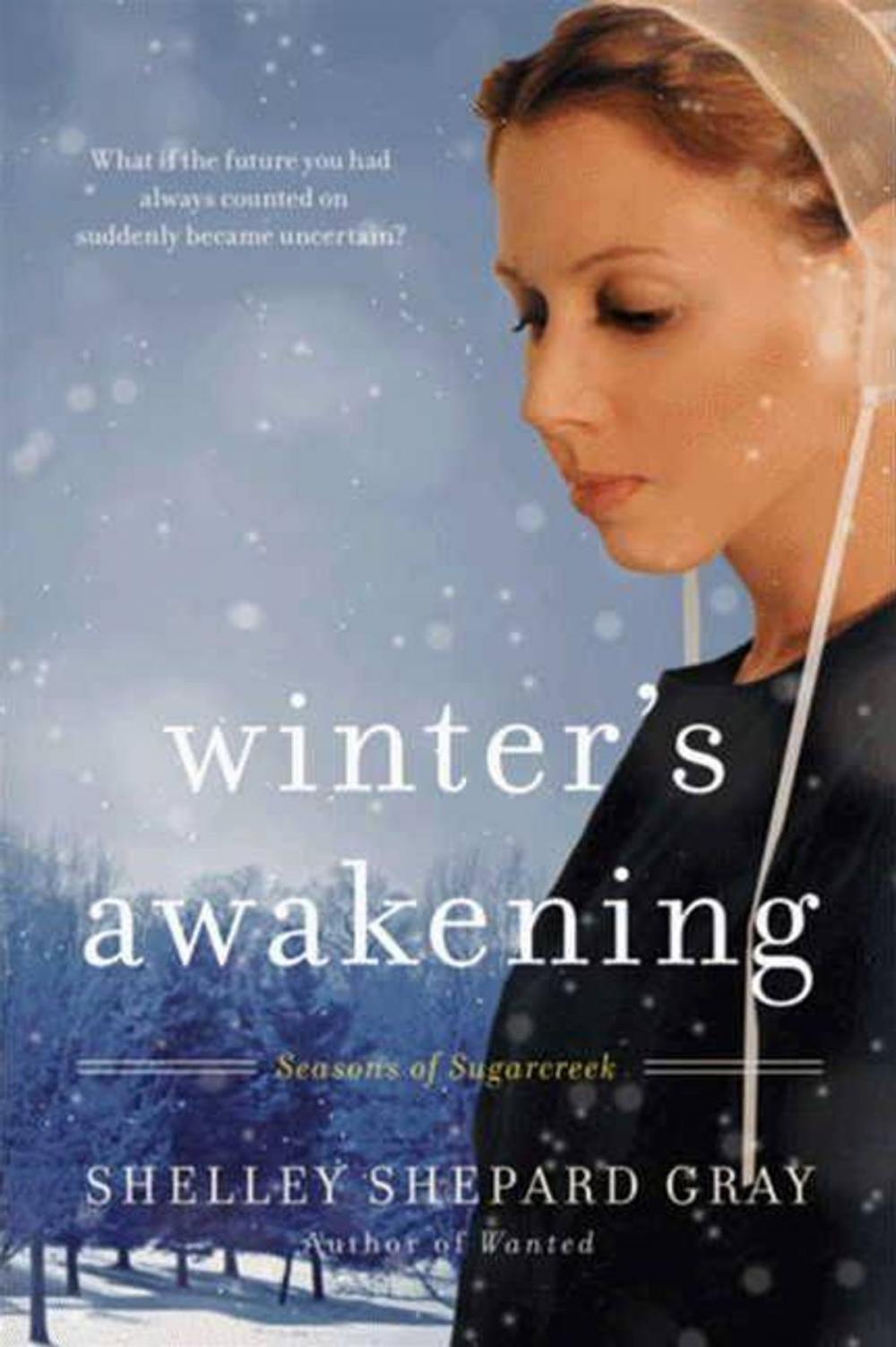 Big bigCover of Winter's Awakening