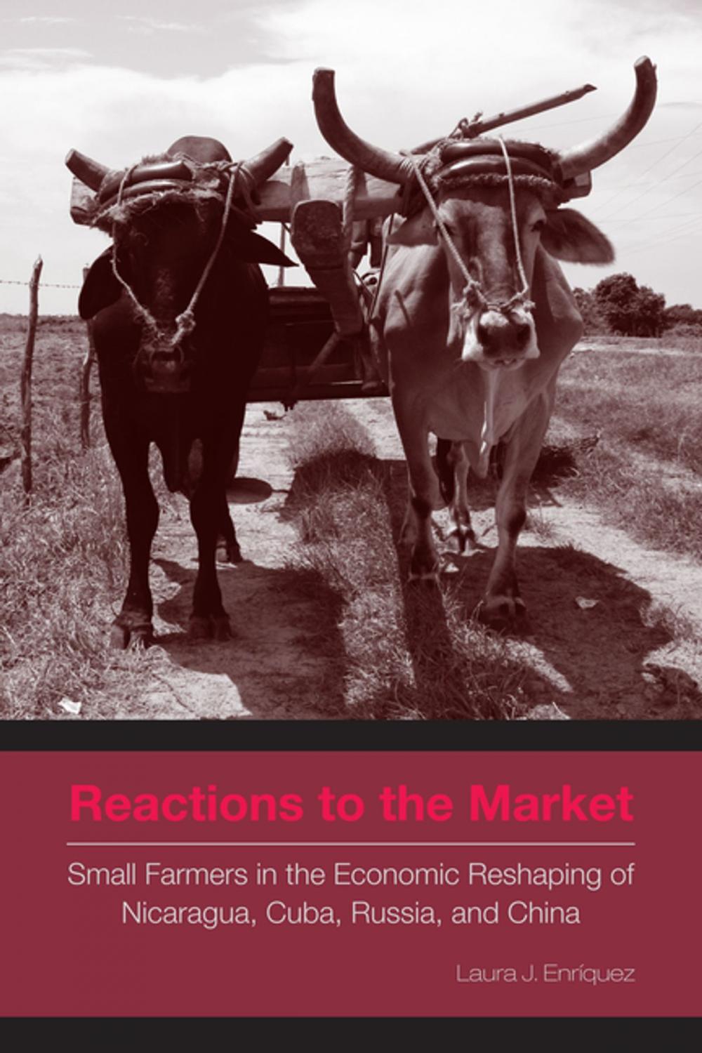 Big bigCover of Reactions to the Market